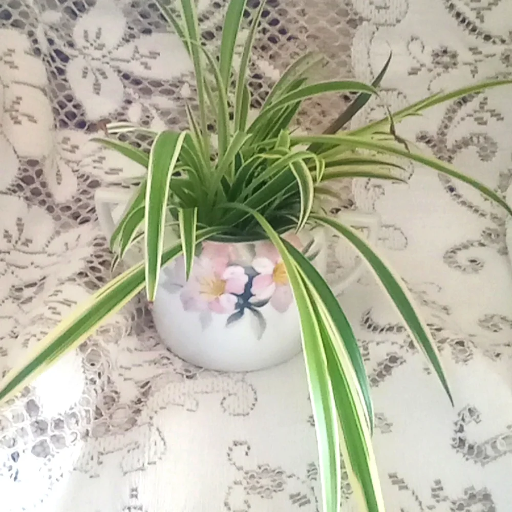 Hand painted Nippon sugar bowl with airplane plants